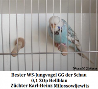 14. Jungvogel 002.png